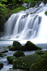 Fototapeta premium 蓼科大滝