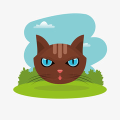 pets related icons image vector illustration design 