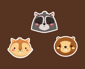 raccoon squirrel and beaver icons image vector illustration 