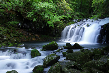 Obraz premium 蓼科大滝