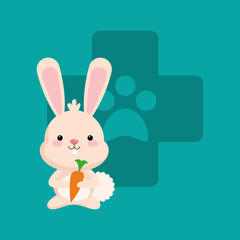 rabbit or bunny medical cross with veterinarian related icons image vector illustration