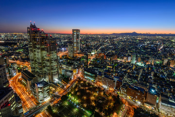 Fototapeta na wymiar 富士山と東京の街並み