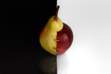 Apple/Pear OGM 