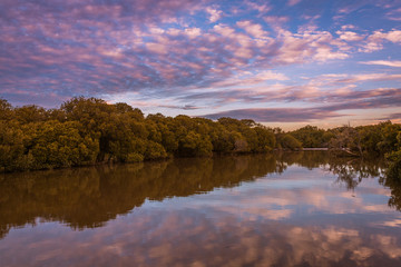 Fototapeta na wymiar Colorful South Australian landscape at sunset at the river
