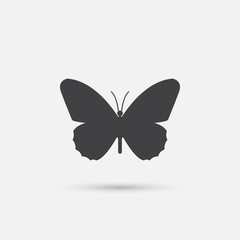 butterfly icon