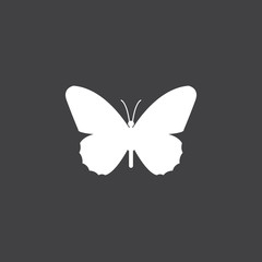 Fototapeta na wymiar butterfly icon