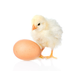 Cute chicken with egg. isolated on white background