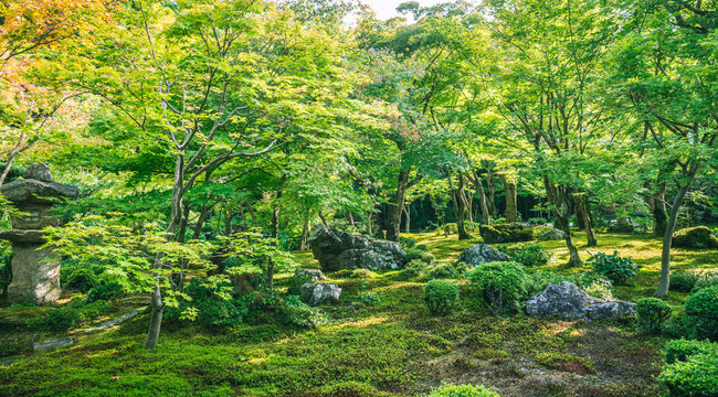 瑞巌山 円光寺 庭園