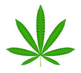 Medical marijuana. Cannabis .