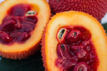 Momordica cochinchinensis