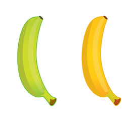 green and ripe banana