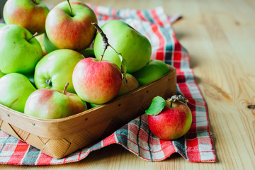 Basket full of fresh harvested apples