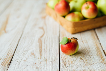 Basket full of fresh harvested apples