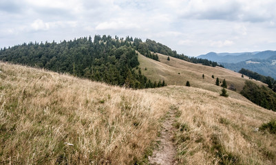 Fototapeta premium hiking trail on autumn meadow in Velka Fatra mountains wiwith Javorina hill on the background and blue sky with clouds