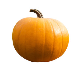 Pumpkin Isolated on White Background