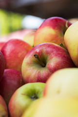 Pile of apples. Closeup.