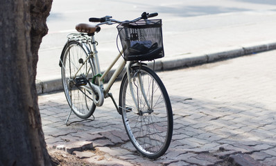 Fototapeta na wymiar Vintage the bicycle waiting close tree on public park