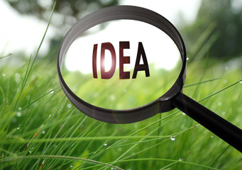 idea