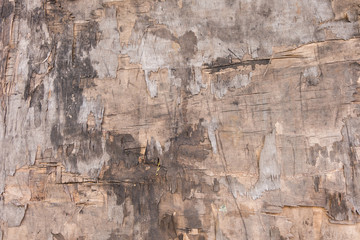 Background texture of old weathered grunge wooden board