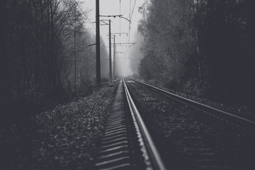 Железнодорожный путь между деревьями в утреннем тумане © photocinemapro