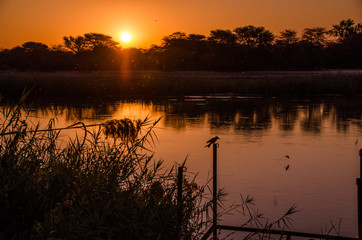 Fototapeta na wymiar Chobe river sunset