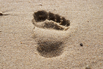 Spuren im Sand