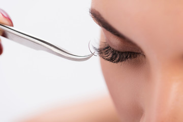 Artificial eyelash growth procedure in details