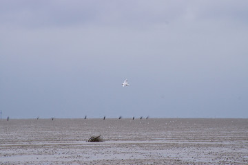 Nordsee bei Cuxhaven