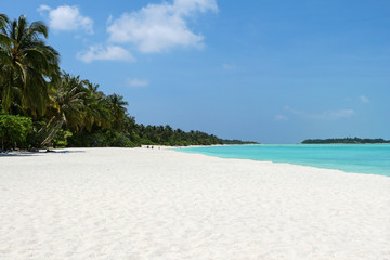 white beach with coconut palms and water on the Maldives