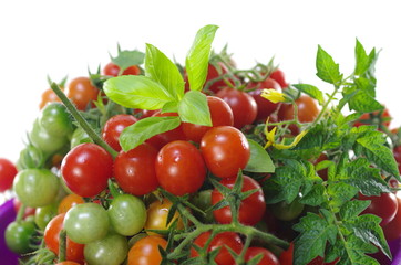  cherry tomatoes