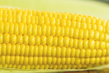 Close up yellow fresh corn