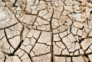 Cracked clay ground into the dry season