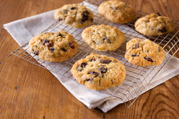 oatmeal cookies with cranberries