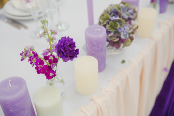 Tender violet spring flowers stand on a white table behind the c