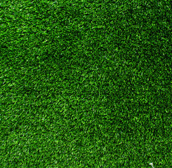 Obraz premium artificial grass