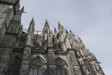 cathedrale in Cologne