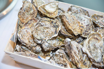 Oysters in basket