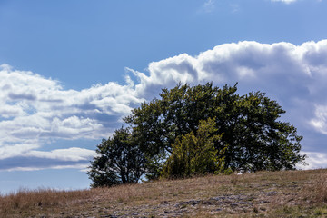 Obraz premium Schwäbisches Albvorland im Herbstgewand