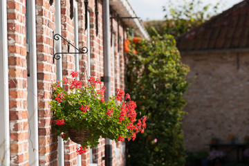 Fototapeta na wymiar Bright colorful flower basket on old historical house facades.