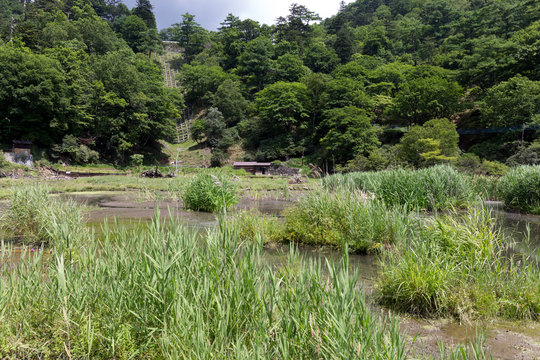 11 Best 湯元温泉源泉 Images Stock Photos Vectors Adobe Stock