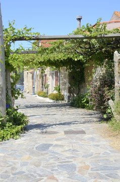 Gallery made with grape leaves in Aldan, Galicia, Spain