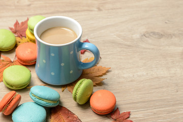 Autumn muffins with cocoa