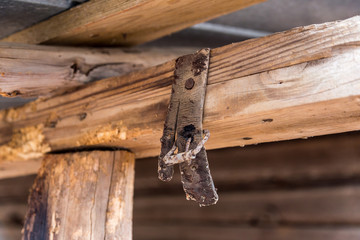 Old leather strap on barn rafter