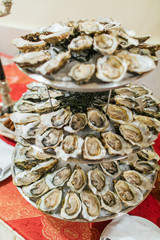 Mussels lie on the tired stand