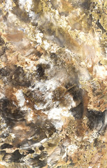 Decorative plaster texture, decorative wall, stucco texture, decorative stucco