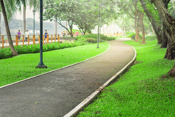 Obraz premium Bicycle Lane. Path cycling in public park in the morning refresh
