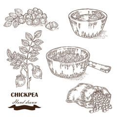 Hand drawn chickpea plant. Seeds, chickpea soup, sauce and sack
