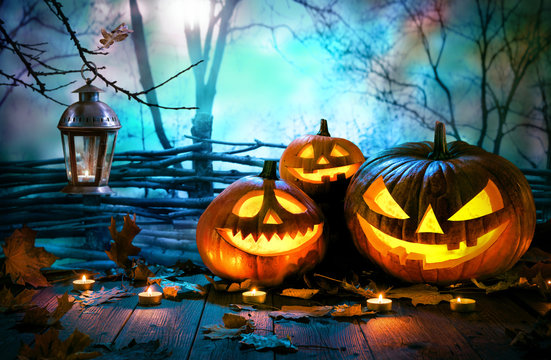 Halloween pumpkins on wood in front of nightly spooky forest background