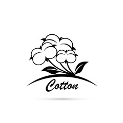 Fototapeta premium Cotton flower symbol