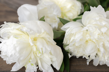 Fresh white Peonies.
Close up flowers on wood background.